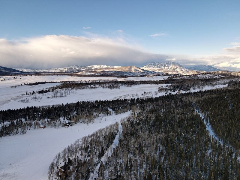 Dream Escape, Power and Trees : Fort Garland : Costilla County : Colorado