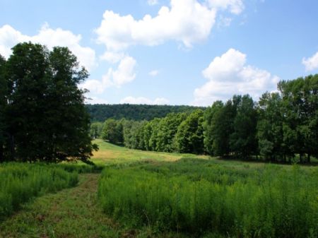 10 Acres- Northern Catskills : Jefferson : Schoharie County : New York