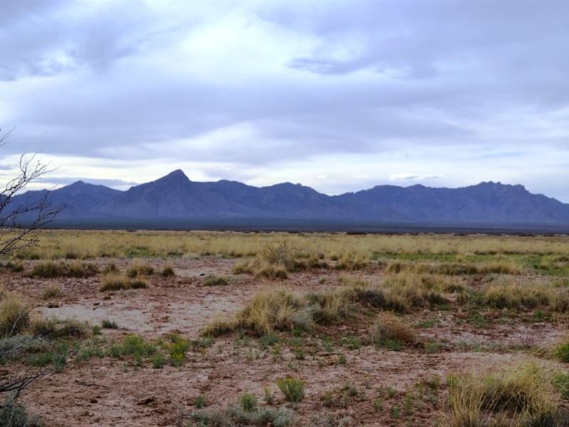.50 AC in Sunshine Valley, Luna, NM : Deming : Luna County : New Mexico