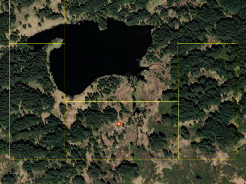 Kodiak Island Hunting Land : Port Lions : Kodiak Island Borough : Alaska