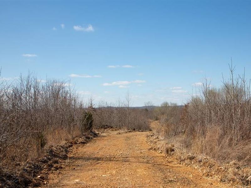 9.47 Acre in Southwind Ranch, TN : Monticello : Perry County : Tennessee