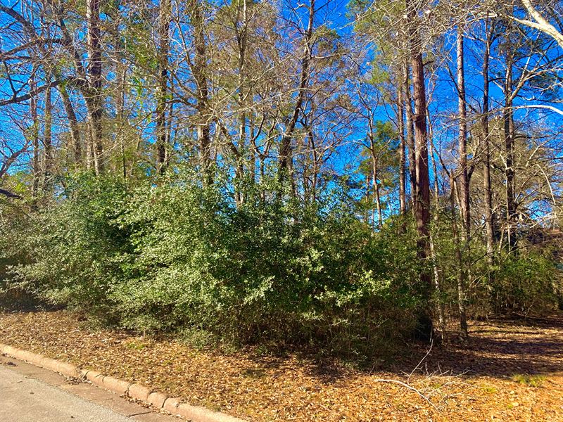.227 Acre Lot in Elkins Lake : Huntsville : Walker County : Texas