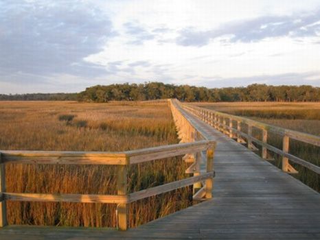 Spring Cove : Darien : McIntosh County : Georgia