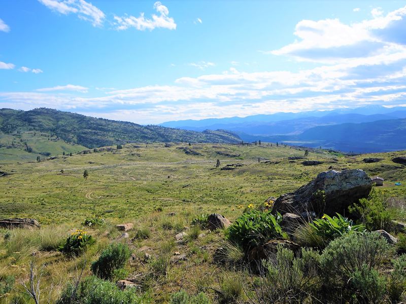 20 Acres Best County for Mule Deer : Tonasket : Okanogan County : Washington