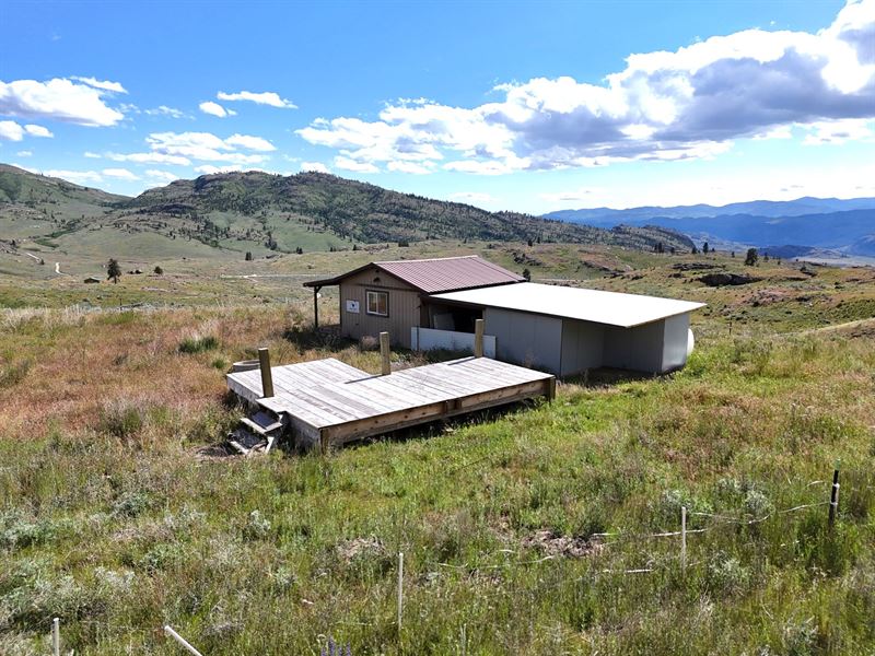 20 Acres with Cabin, Blm Access : Tonasket : Okanogan County : Washington