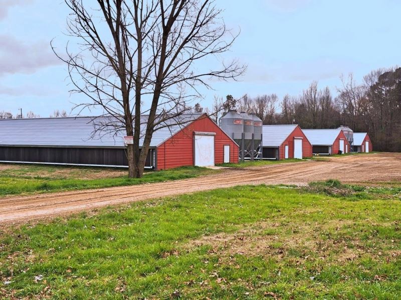 Poultry Farm, 4 House Broiler Farm : Carthage : Leake County : Mississippi