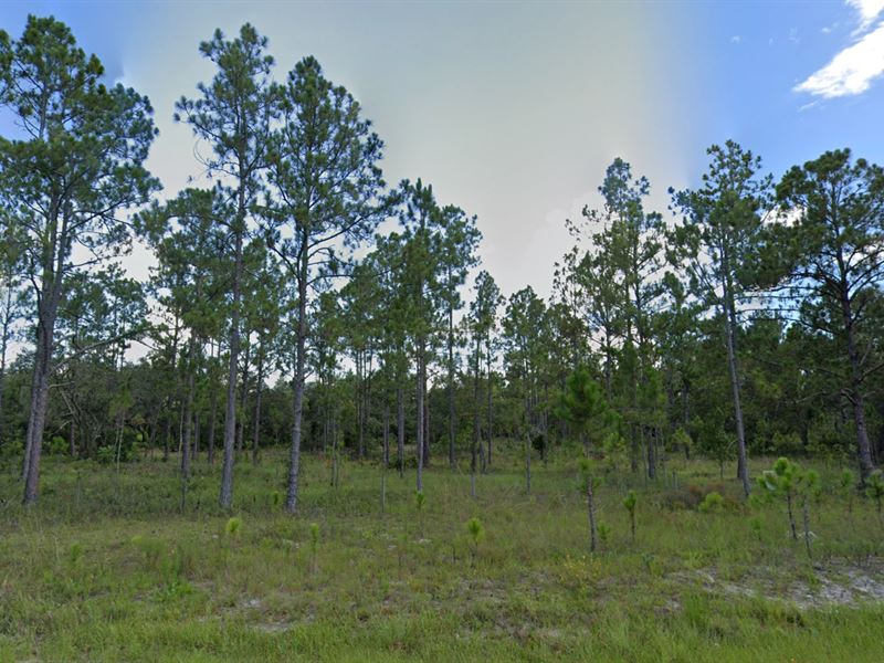 Groveland Ranch Acres Investment : Polk City : Polk County : Florida