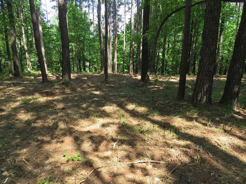Lake Greenwood 1 Acre Interior Lot : Cross Hill : Newberry County : South Carolina