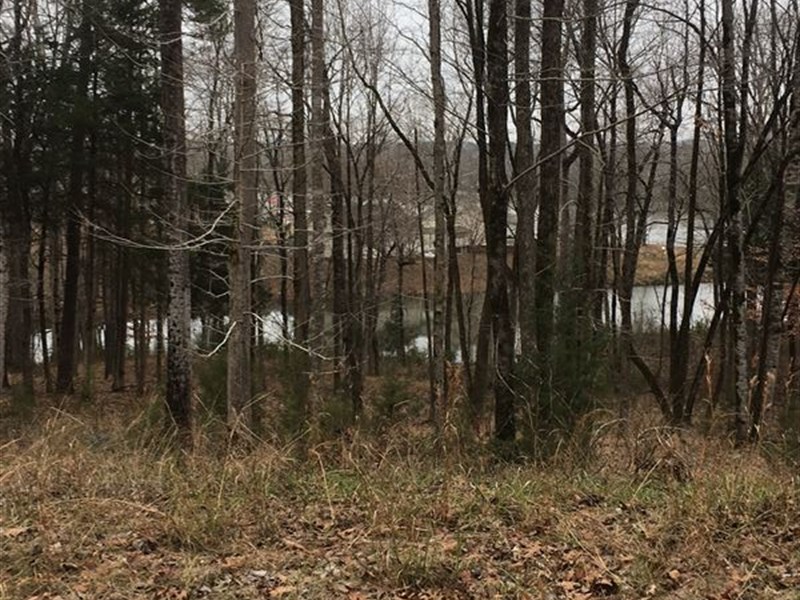 Secluded Alabama River Lot : Camden : Wilcox County : Alabama