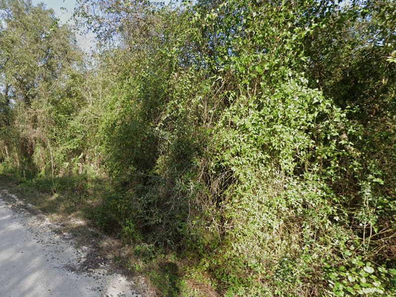 .25 Ac for Sale in Dade City, FL : Dade City : Pasco County : Florida
