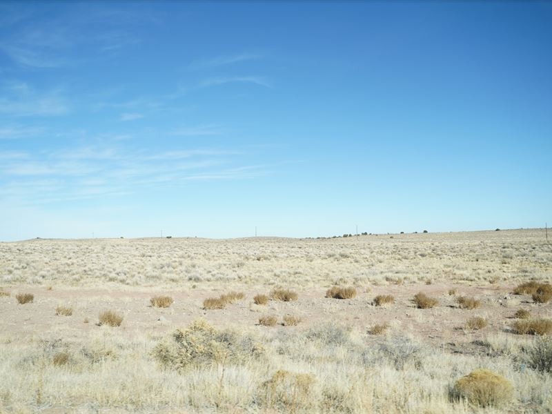 Gateway to Petrified Forest : Holbrook : Apache County : Arizona