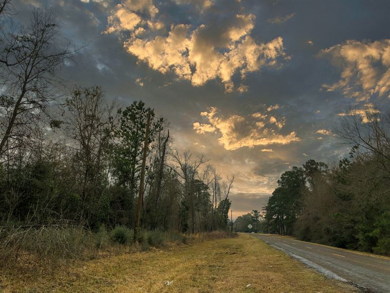 8 Acres, B4 Silsbee Stake : Silsbee : Hardin County : Texas