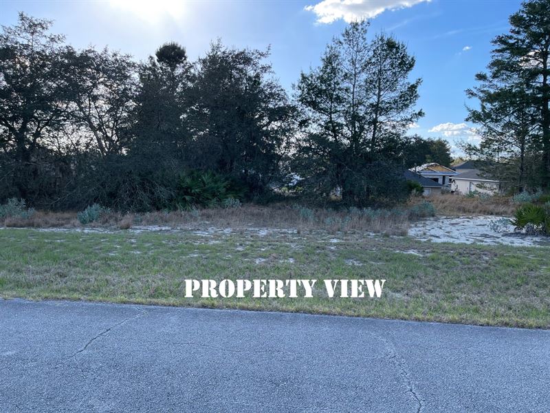 Beautiful Community Nearby Disney : Poinciana : Polk County : Florida