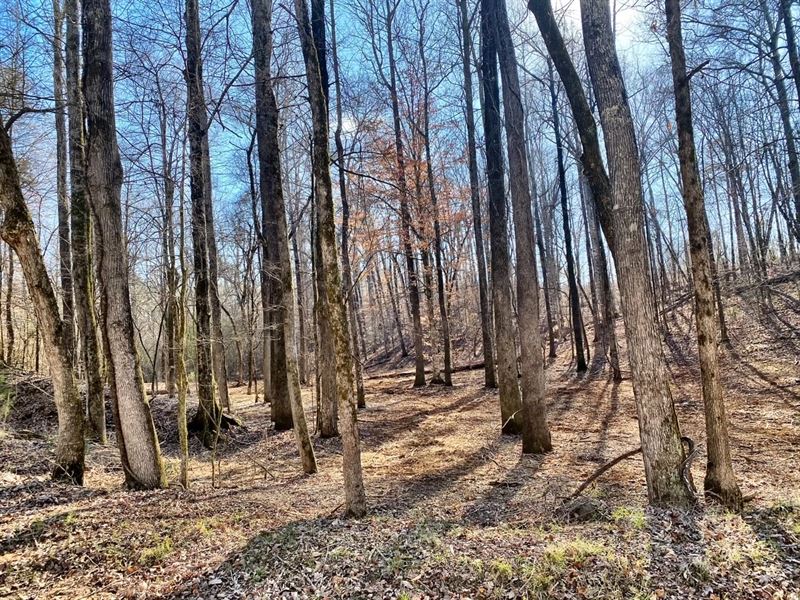 Montpelier Station, 1.85 Acres : Forsyth : Monroe County : Georgia
