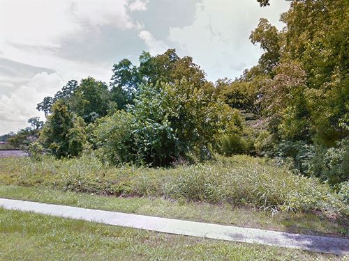 .56 Acre in Talladega County, AL : Talladega : Alabama