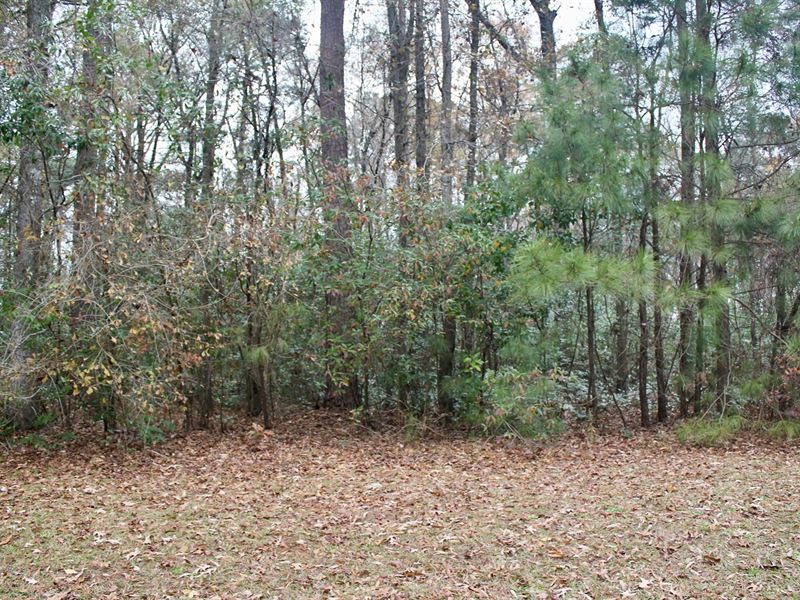 Land in Waterfront Community, NC : Pinetown : Beaufort County : North Carolina