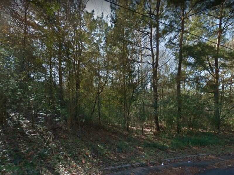 Big Buildable Wooded Lot Yalobusha : Water Valley : Yalobusha County : Mississippi