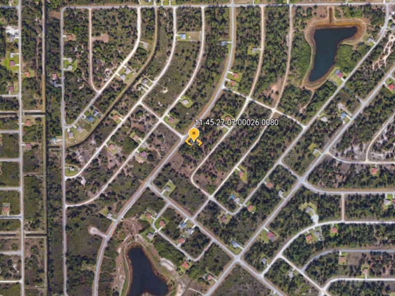 Invest in Florida, Power + Paved Rd : Lehigh Acres : Lee County : Florida