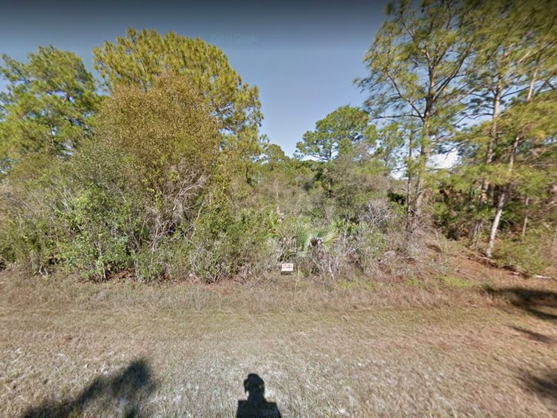 Oversize Freshwater Canal Lot : Lehigh Acres : Lee County : Florida