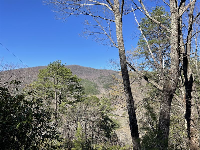 18.36 Wooded Acres, Mountain Views : Clarkesville : Habersham County : Georgia