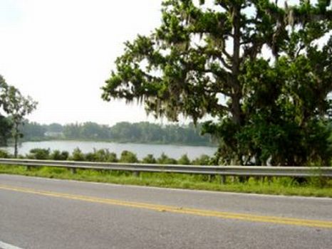 16 Acre Residential/Townhouse Dev : Lakeland : Polk County : Florida