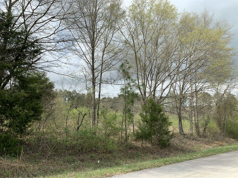 6.9 AC Just Off Hwy 278 in Rockmart : Rockmart : Polk County : Georgia