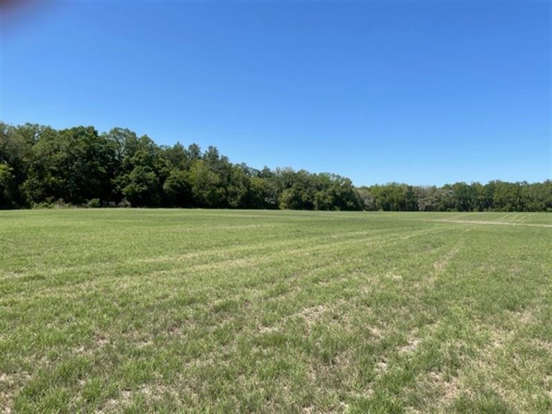Great Location : McAlpin : Suwannee County : Florida