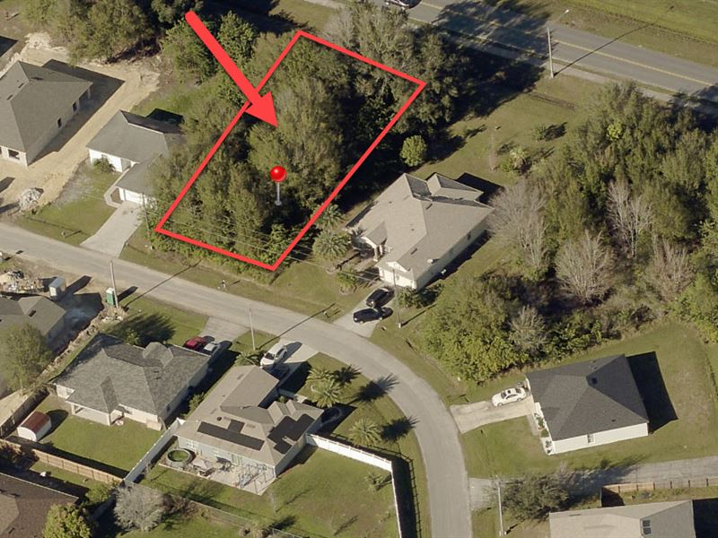 Perfect Lot Nearby Disney Parks : Kissimmee : Osceola County : Florida