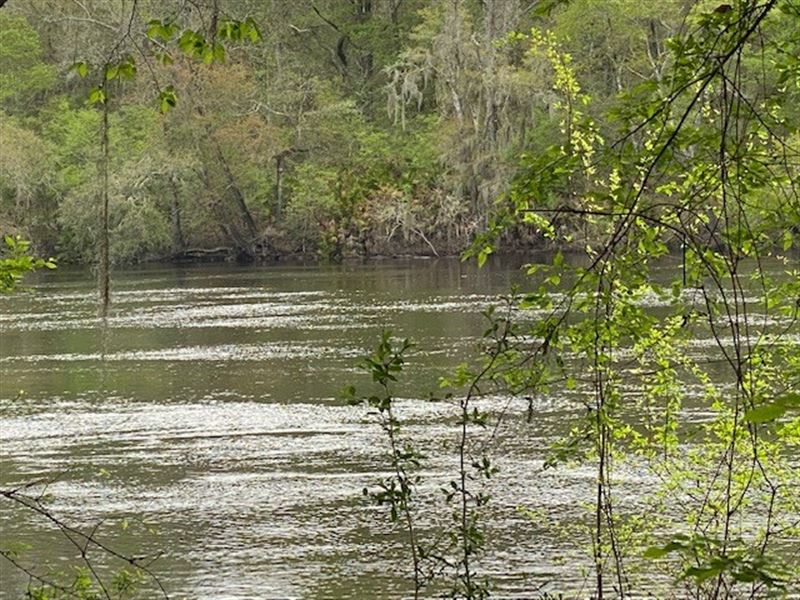Beautiful Buildable Suwannee River : Mayo : Lafayette County : Florida
