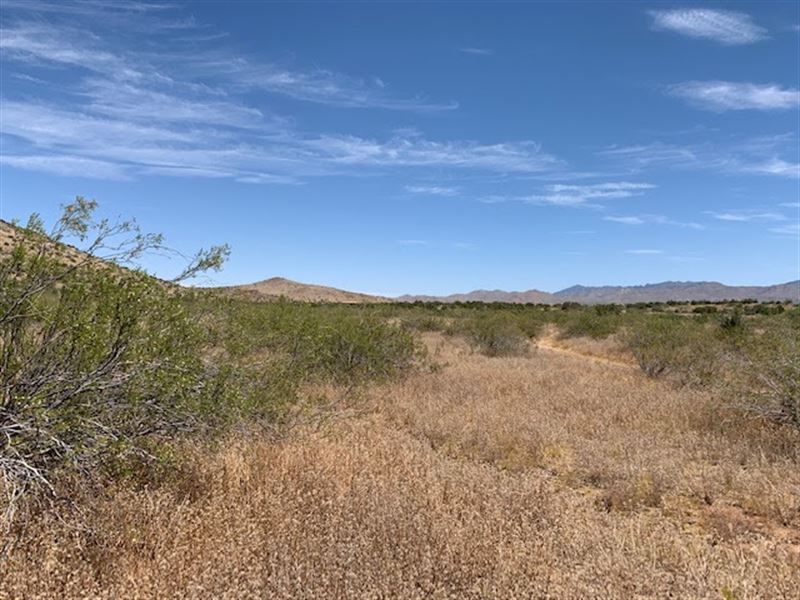 2.5 Acres on The Hillside : Golden Valley : Mohave County : Arizona