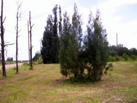 Highway 17 S Commercial : Wauchula : Hardee County : Florida