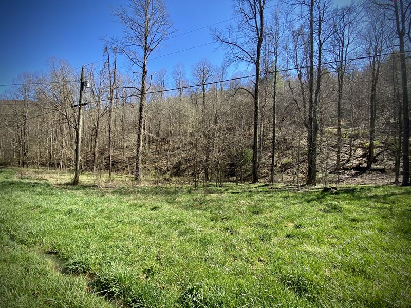 Peaceful and Private in TN : Butler : Johnson County : Tennessee
