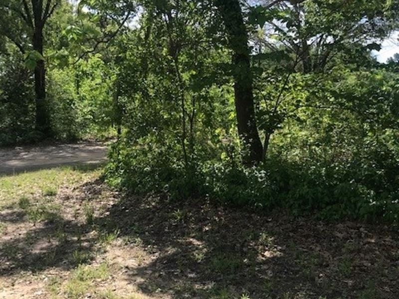 Water View Lot East Tx, Lake Lot for Sale in Chandler, Henderson