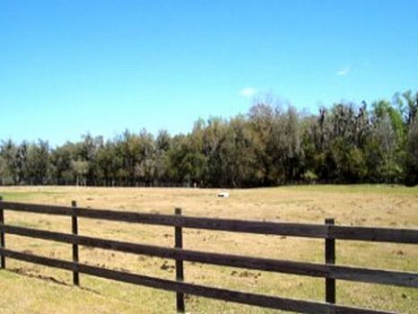 Hood Manor Estate : Fish Hawk : Hillsborough County : Florida