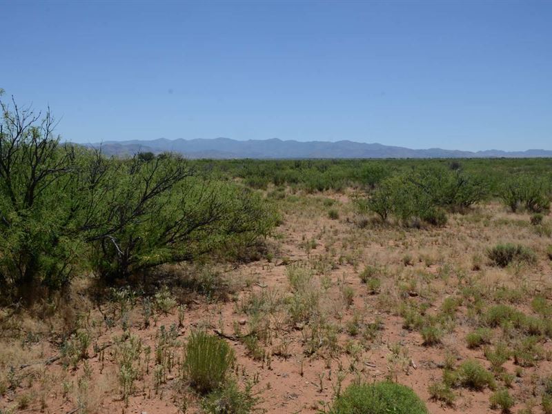 Nice, Ru-4, Med Can Approve, $300/M : Sunizona : Cochise County : Arizona