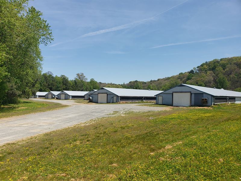 8 House Poultry Broiler Farm : Ellijay : Gilmer County : Georgia