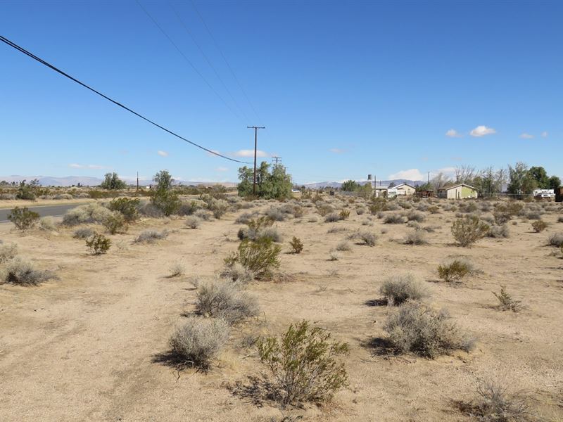 Awesome Ag / Res Land, Power, Paved : Newberry Springs : San Bernardino County : California