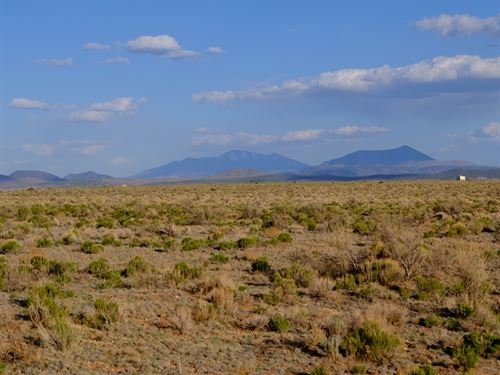 Paved Road + Mountain View : Williams : Coconino County : Arizona
