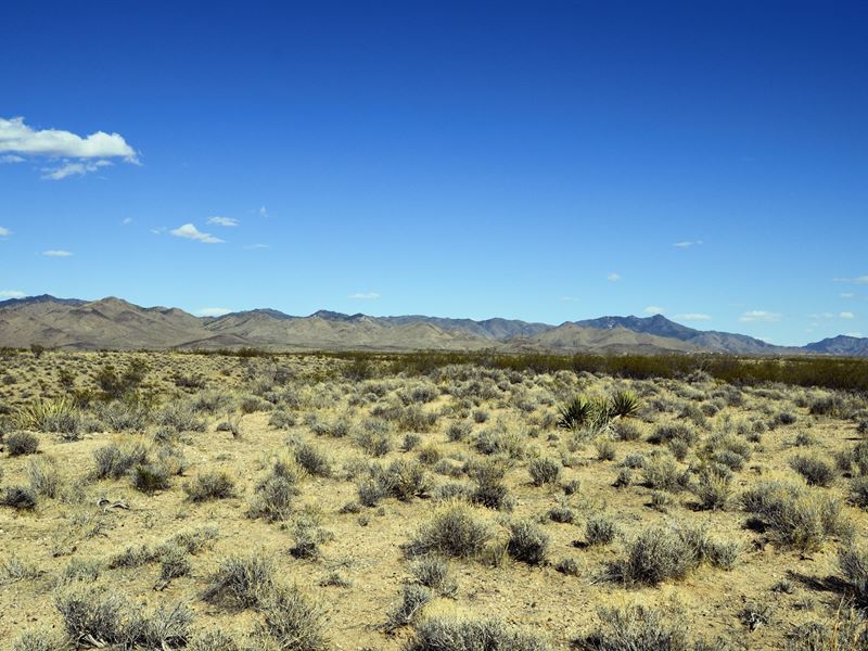2.5 Acres in Dolan Springs, AZ : Golden Valley : Mohave County : Arizona