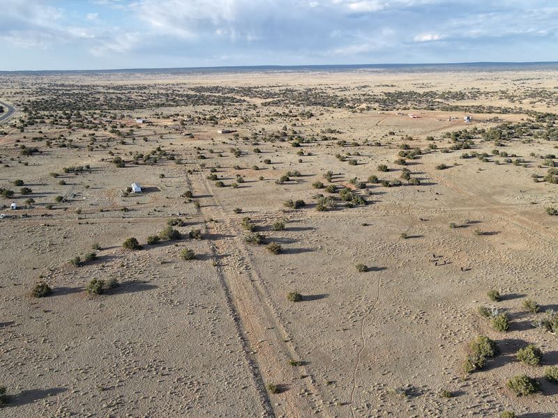 Escape Off Grid, 3.2 Acres $225/Mo : Sanders : Apache County : Arizona