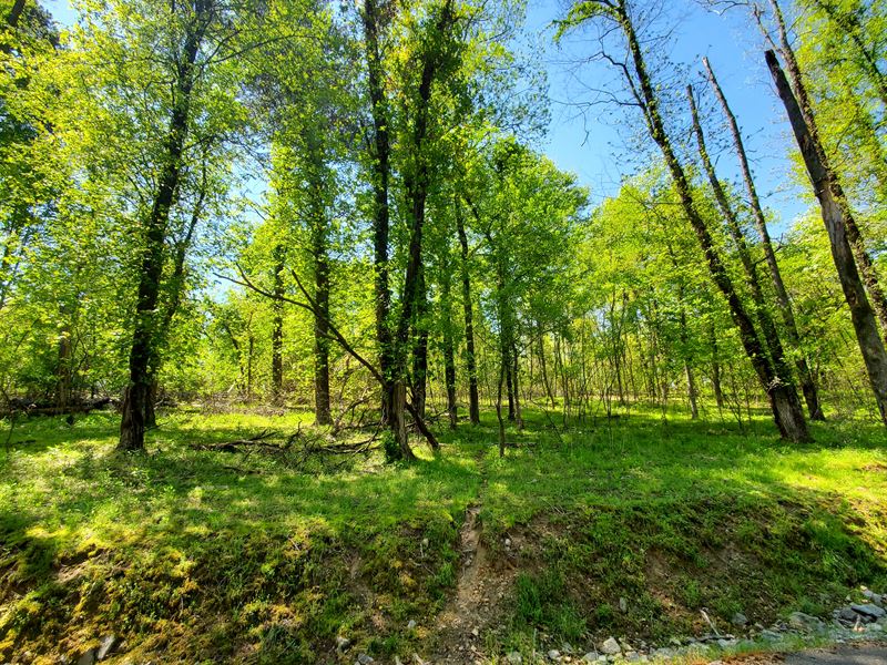 3/4 Acre Lake Access Building Lot : Mooresburg : Hawkins County : Tennessee