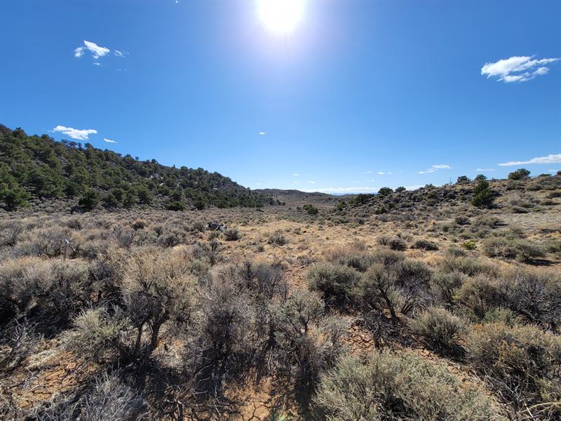 Private Off Grid Living on The Mesa : San Luis : Costilla County : Colorado