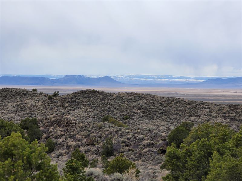 Enjoy Nature in Wild Horse Mesa : San Luis : Costilla County : Colorado