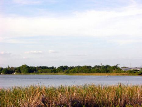 Lake Shipp Commercial : Winter Haven : Polk County : Florida