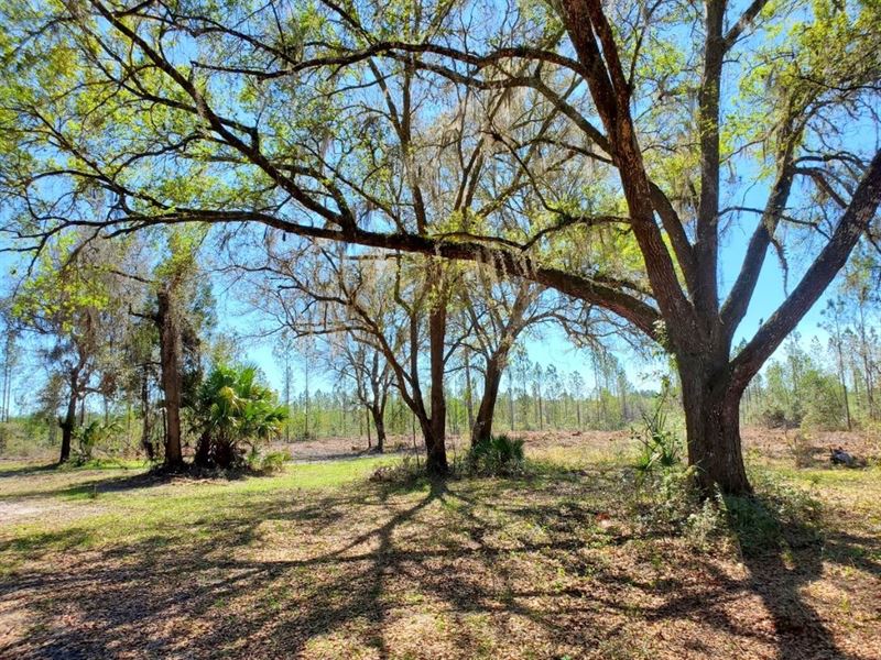 Gore's Landing Ranches Lot 3 : Fort McCoy : Marion County : Florida