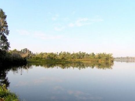 Lakefront Acreage - Lake Pierce : Lake Wales : Polk County : Florida