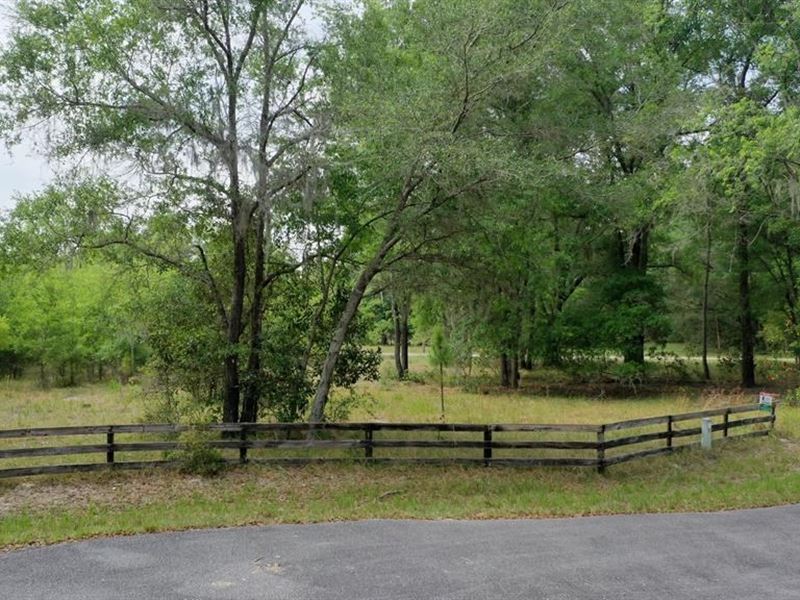 Spanish Trace Subdivision : Chiefland : Levy County : Florida