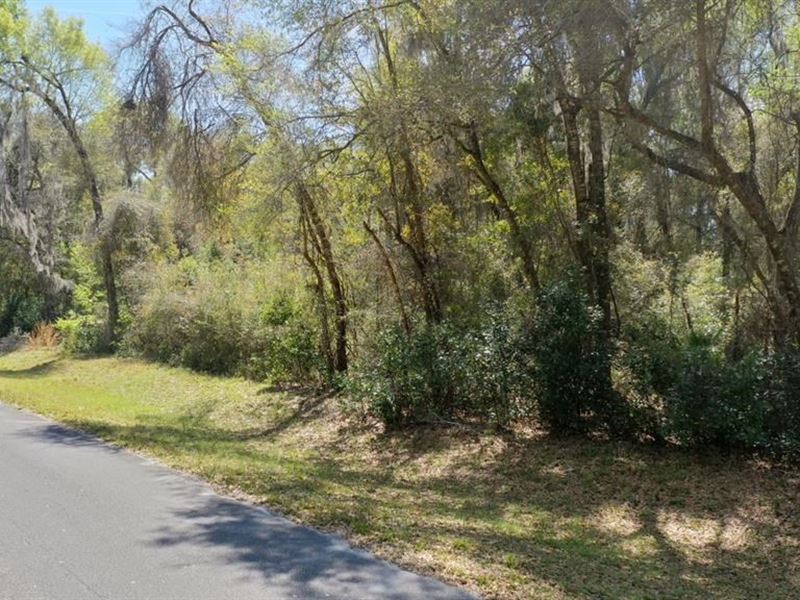 1 Acre Lot Homes Only Subdivision : Chiefland : Levy County : Florida