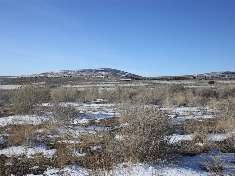 2.27 Acre Jackpot in Elko NV : Elko : Elko County : Nevada