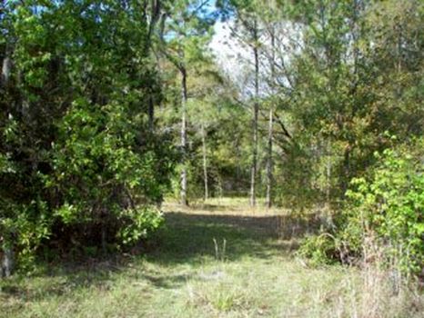 Marcum Road Property : Lakeland : Polk County : Florida